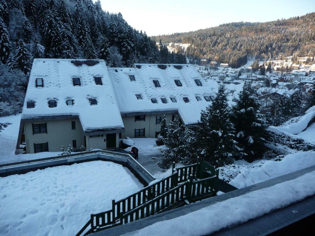 Haus Dachsberg Todtmoos Apartment Exterior photo